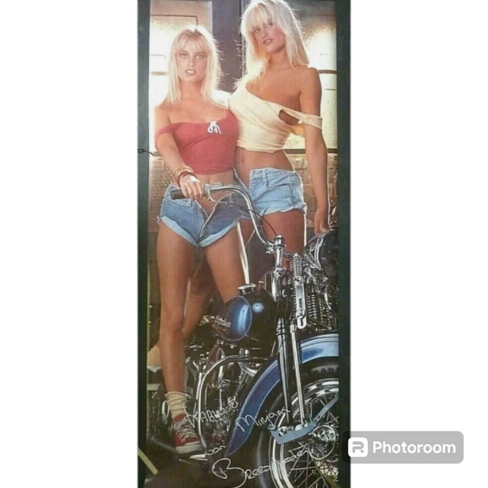 The Twins Karin & Mirjam Breeschooten Door Poster